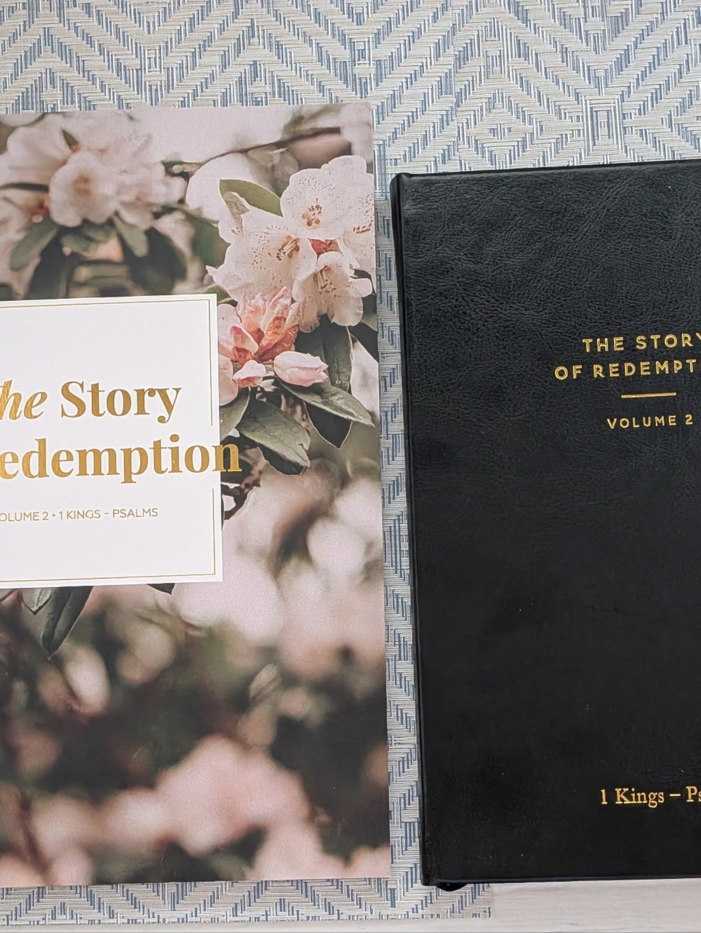 Daily Grace Co Story Of Redemption Vol 2: 1Kings-Psalms Study And Journal Bundle